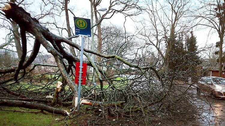 In Düsseldorf hat der Sturm zahlreiche Schäden verursacht.