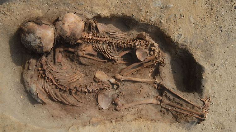 Mumifizierte Kinder: An der Fundstätte bemerkten Anwohner im Jahr 2011 Dutzende Knochen, die aus den Dünen ragten.