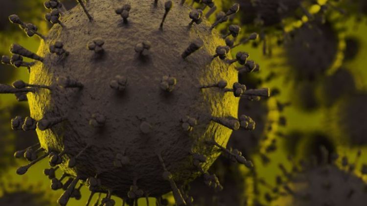 Influenza-A-Viruspartikel: Bis der neue Forschungsansatz gegen Grippeviren zu einem Medikament führt, werde es noch lange dauern, sagt der Virologe Stephan Ludwig von der Uni Münster. 
