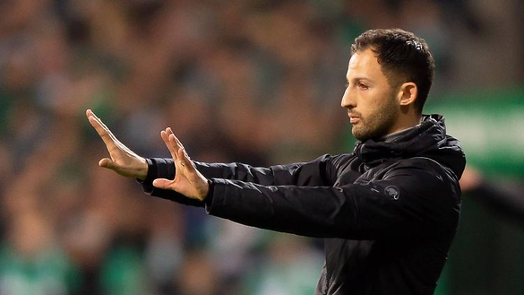 Domenico Tedescos Schalker müssen nun in der Champions League gegen Manchester City ran.