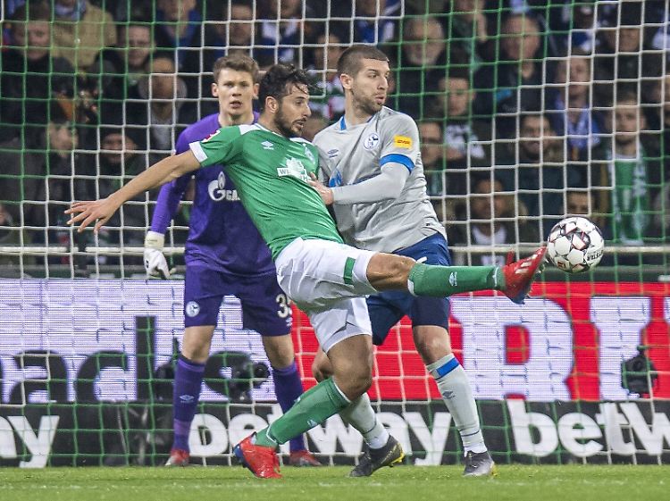 Neulich im Weserstadion: Bremens Claudio Pizarro und Schalkes Matija Nastasic.