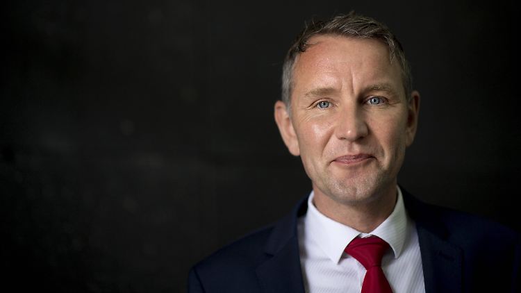Wird viel kritisiert, hat aber wenig zu befürchten: Thüringens AfD-Chef Björn Höcke.