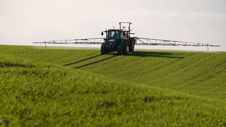 Landwirte in der EU dürfen weiter Glyphosat ausbringen.