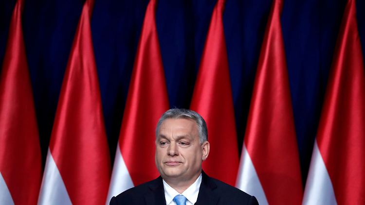 Orbans Partei könnte aus der EVP-Fraktion ausgeschlossen werden. 