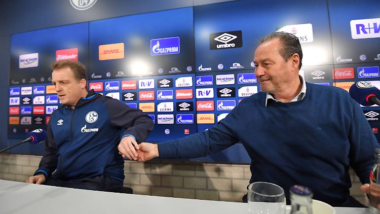 Mike Büskens und Huub Stevens sollen den FC Schalke wieder in die Spur bringen.