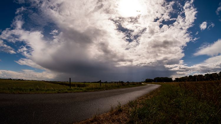 Ab Sonntag kann sich auch der Norden Deutschlands über mehr Sonne und mildere Temperaturen freuen.