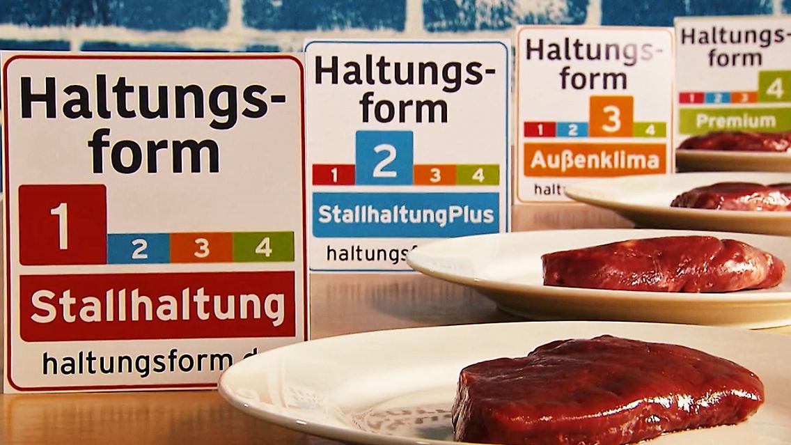 Initiative-Tierwohl.jpg