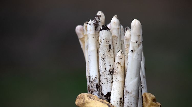 Sobald die Frühlingssonne scheint, wollen viele Deutsche Spargel auf ihren Tellern sehen. Dieses Jahr klappt das besonders gut.