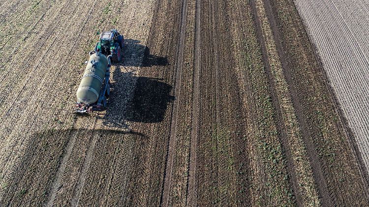 Nitrat gelangt beim Düngen in die Umwelt und ist potenziell schädlich für Mensch und Natur. Belastetes Wasser ist vor allem für Säuglinge gefährlich.
