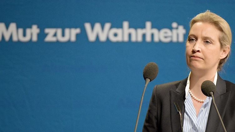 "Frau Weidel kennt keine der Personen, die auf der Liste aufgeführt sind", lässt der Sprecher der AfD-Chefin verlauten.