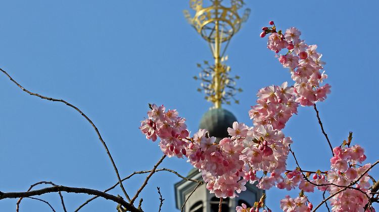 Zum Aprilbeginn winkt blauer Himmel und Sonne.