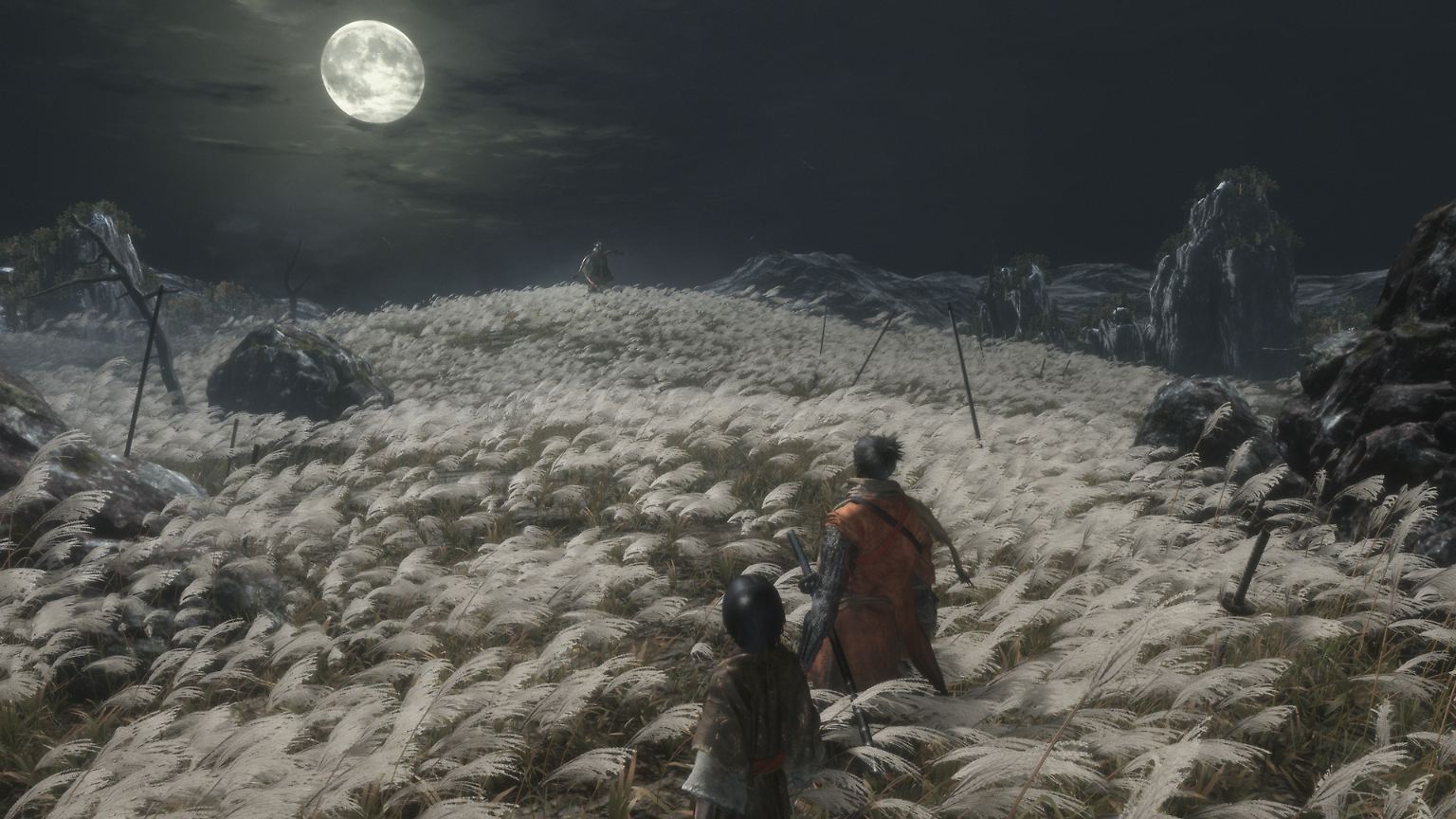 In "Sekiro: Shadows Die Twice" macht sich der Shinobi "Wolf" auf die Suche nach seinem einem entführten Jungen, den er eigentlich beschützen soll.  Bei dem Versuch, die Entführer zu stoppen, verliert er jedoch seinen Arm.