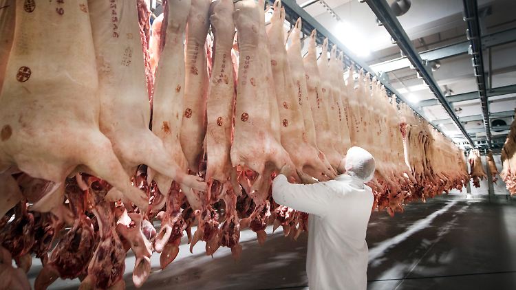 Frisch geschlachtete Schweine in einem Tönnies-Kühlhaus