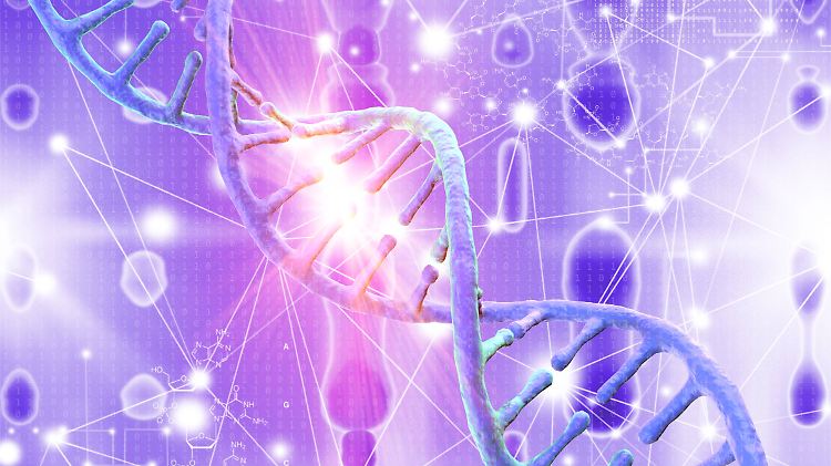 Eine Mutation im Erbgut führt zum geringeren Schmerzempfinden.