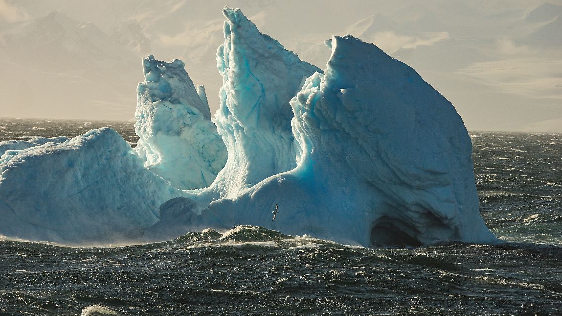 022_Antarctica2015_DSC_2258.jpg