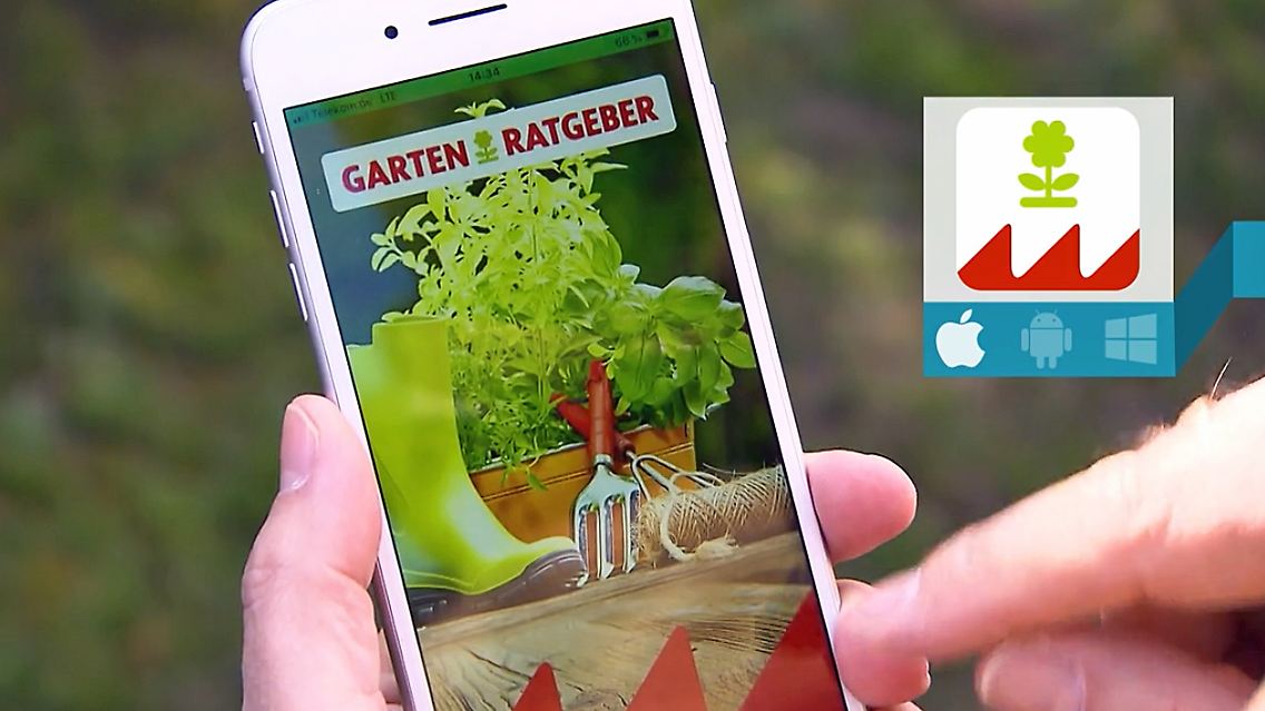 SCREENSHOT_Garten-App.jpg