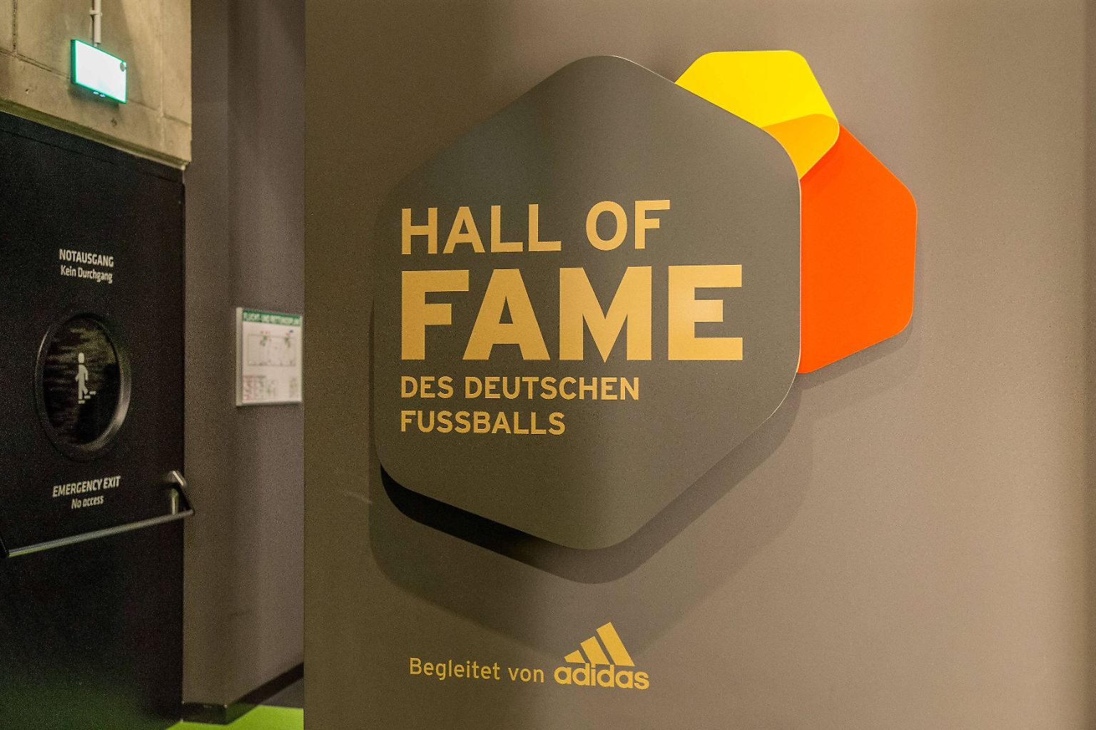 Auf Initiative des Deutschen Fußballmuseums haben 25 Sportjournalisten die Damen- und Herren-Gründungself des deutschen Fußballs gewählt. Ab Dienstag sind die Nationalhelden und -heldinnen in einer Dauerausstellung zu bewundern. Zur Eröffnung der "Hall of Fame" ...