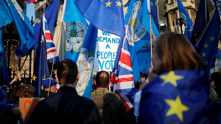 Brexit-Gegner protestieren vor dem britischen Parlament in London.