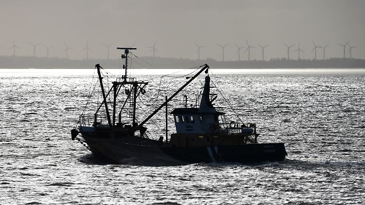 Ein niederländischer Fischkutter auf der Nordsee nahe der dänischen Insel Römö. Kommt es zum ungeordneten Brexit, muss der Fischer aufpassen, nicht in britische Gewässer zu gelangen.