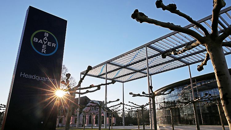 Bayer Konzernzentrale in Leverkusen: 4.500 Stellen streicht der Pharmakonzern in Deutschland. 