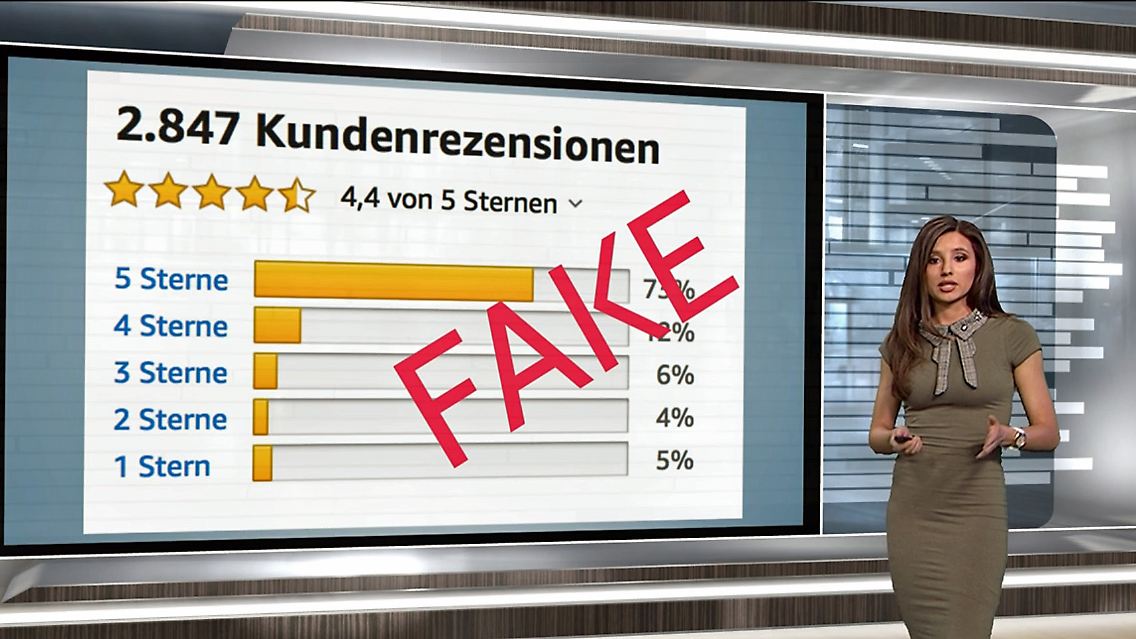 netz.jpg