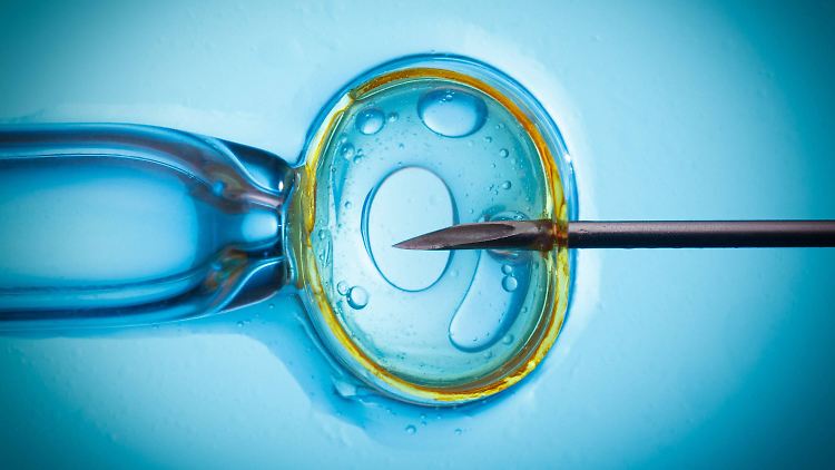 1978 ist das erste Baby zur Welt gekommen, das durch künstliche Befruchtung entstand. 