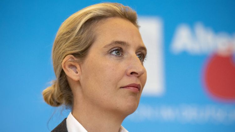 Der Bundestag untersucht Parteispenden aus der Schweiz an Alice Weidel.