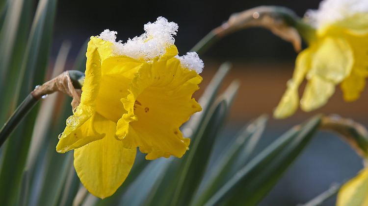Rückzugsgefecht des Winters: Nach letzten kalten Frühlingstagen kommt zu Ostern das Wohlfühlwetter. 