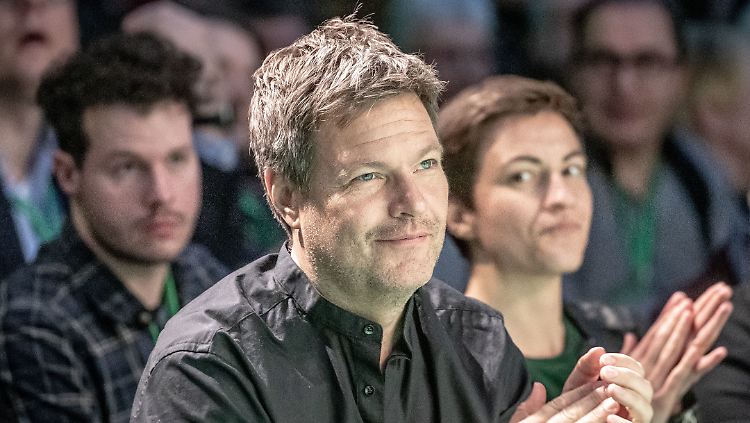 Wird auch kritisch beäugt: Grünen-Chef Robert Habeck.