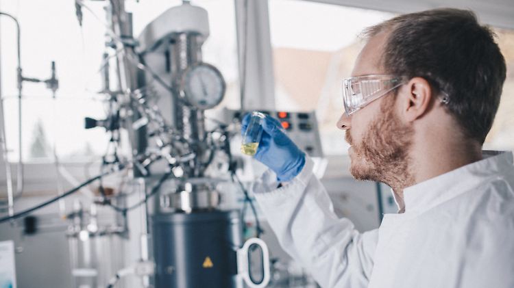 Als Trägeröl für den Wasserstoff wird Dibenzyltoluol verwendet.