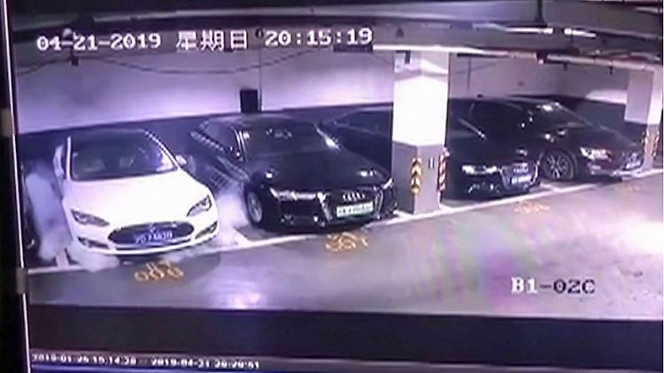 Tesla Brand Model S Aktie 2.JPG