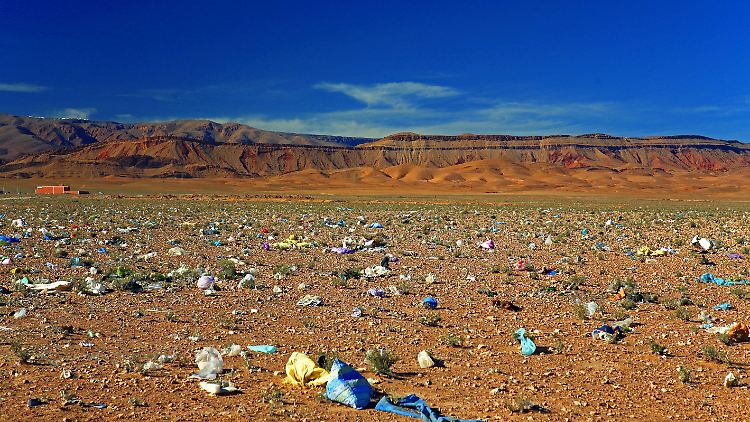 Pflanzen und Tiere leiden unter der Umweltverschmutzung: vom Wind verstreuter Plastikmüll auf einer Hochebene in Marokko.