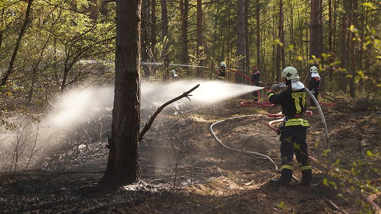 In Brandenburg musste die Feuerwehr bereits mehrfach wegen Waldbränden ausrücken.