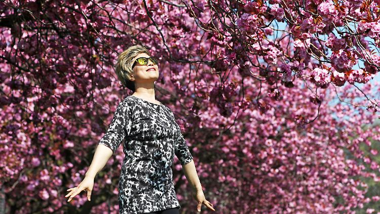 Im April fiel viel zu wenig Regen - nur etwa 30 Prozent des Monatssolls.