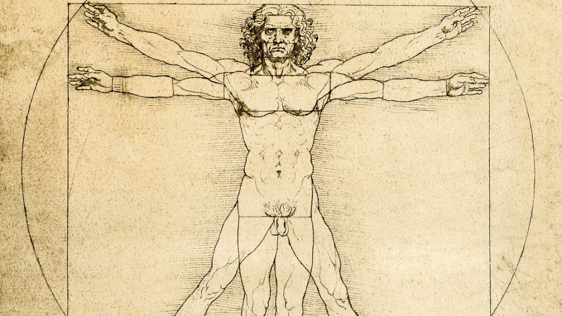 Zu seinen bekanntesten Zeichnungen zählt der " Vitruvianischer Mensch" (etwa 1490). Die Studie zeigt die idealisierten Proportionen des menschlichen Körpers und …