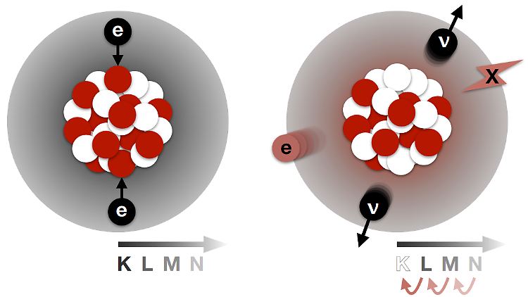 Wenn zwei Elektronen gleichzeitig vom Kern des Xenon-124 eingefangen werden (links), entsteht ein charakteristischer Lichtblitz (rechts).
