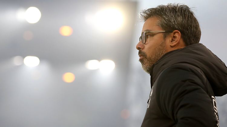 Der Ex-Schalker David Wagner wird neuer Trainer des FC Schalke 04.