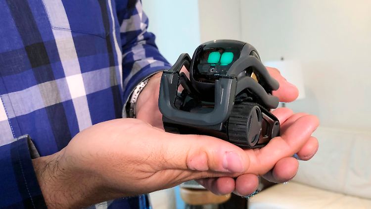 Dass der putzige Mini-Roboter Vector an Disneys Wall-e erinnert, ist kein Zufall: Anki arbeitete bei der Entwicklung mit ehemaligen Pixar-Animatoren zusammen.