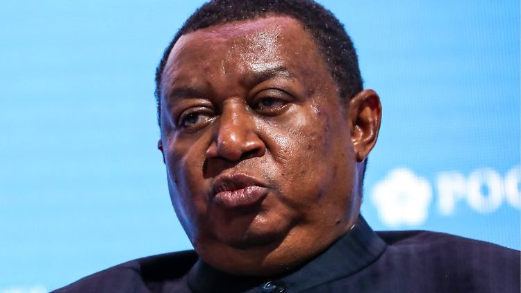 Die Opec sei entschlossen, "nicht erneut ins Chaos zu fallen", betont Opec-Generalsekretär Mohammed Barkindo.