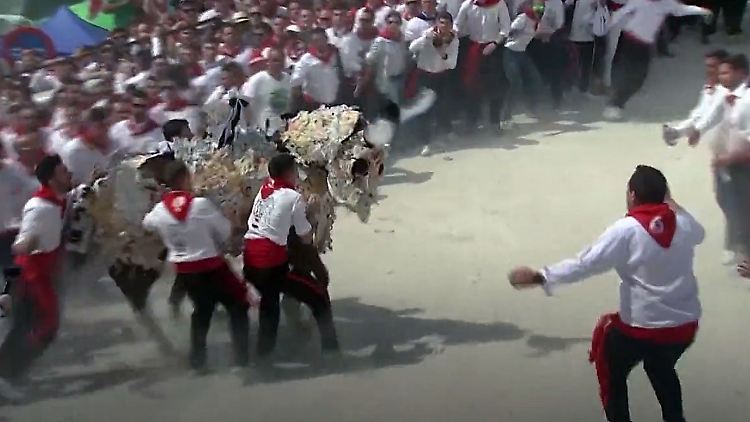 Unbenannt-1.jpg