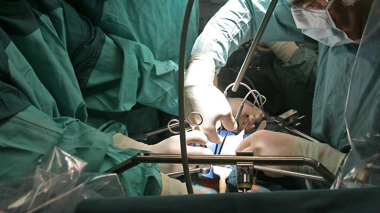 Organspender können Leben retten. Doch wie soll das Gesetz dazu künftig aussehen? Unter Politikern herrscht zu dem Thema Uneinigkeit.