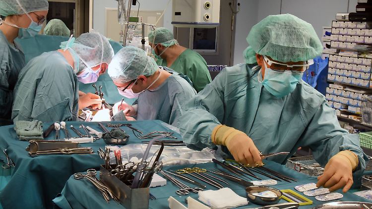 Das Transplantationszentrum in Leipzig wurde 1993 gegründet. Dort fanden bereits über 1000 Nieren- und Lebertransplantationen statt.