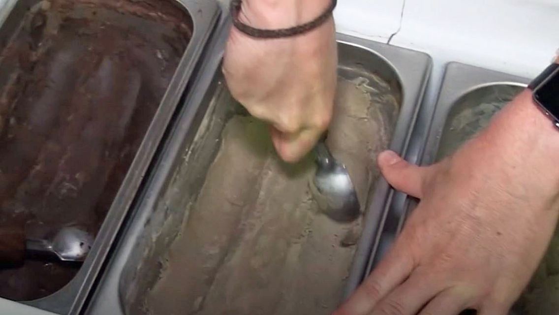 Eis Südafrika Insekten.JPG