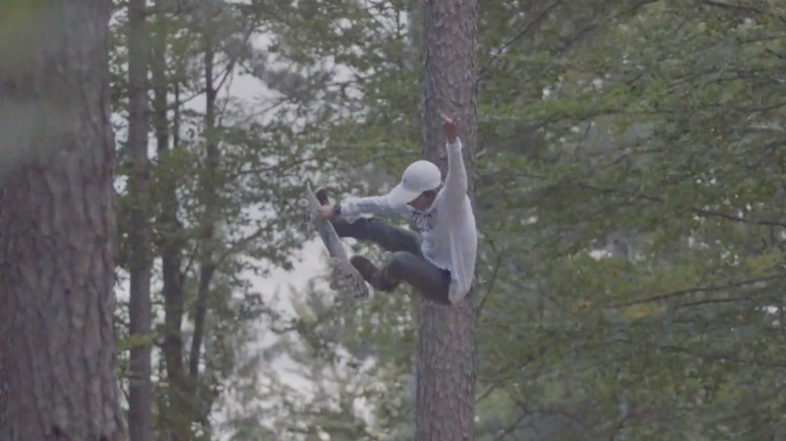 Skateboarden-im-Wald.jpg