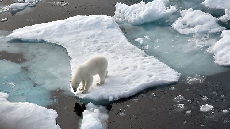 Das Eis in der Arktis schmilzt, in Sachen Klimawandel haben die Anrainerstaaten dennoch unterschiedliche Meinungen.