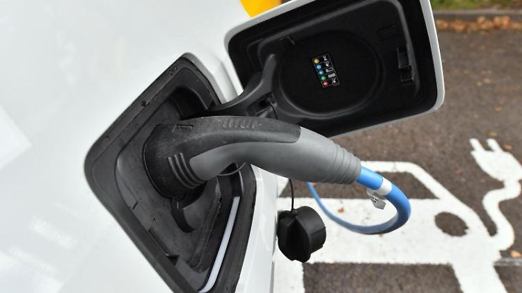 Rund 600 Millionen Euro will das US-Unternehmen Farasis in Sachsen-Anhalt investieren.