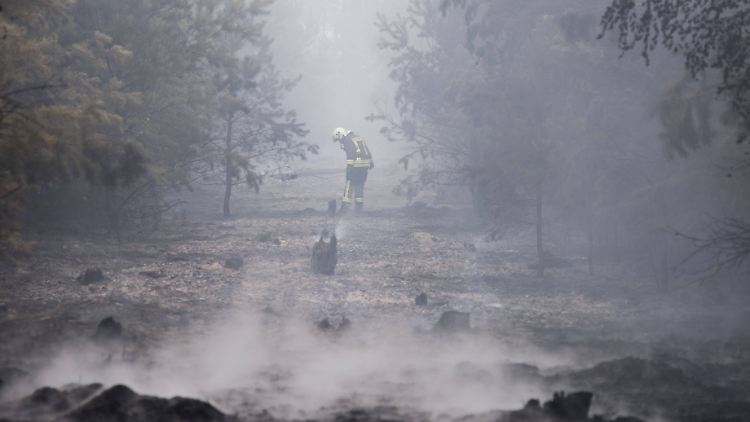 Im Hitzesommer 2018 standen in Brandenburg die Wälder in Flammen - dies könnte in Zukunft die Regel sein.