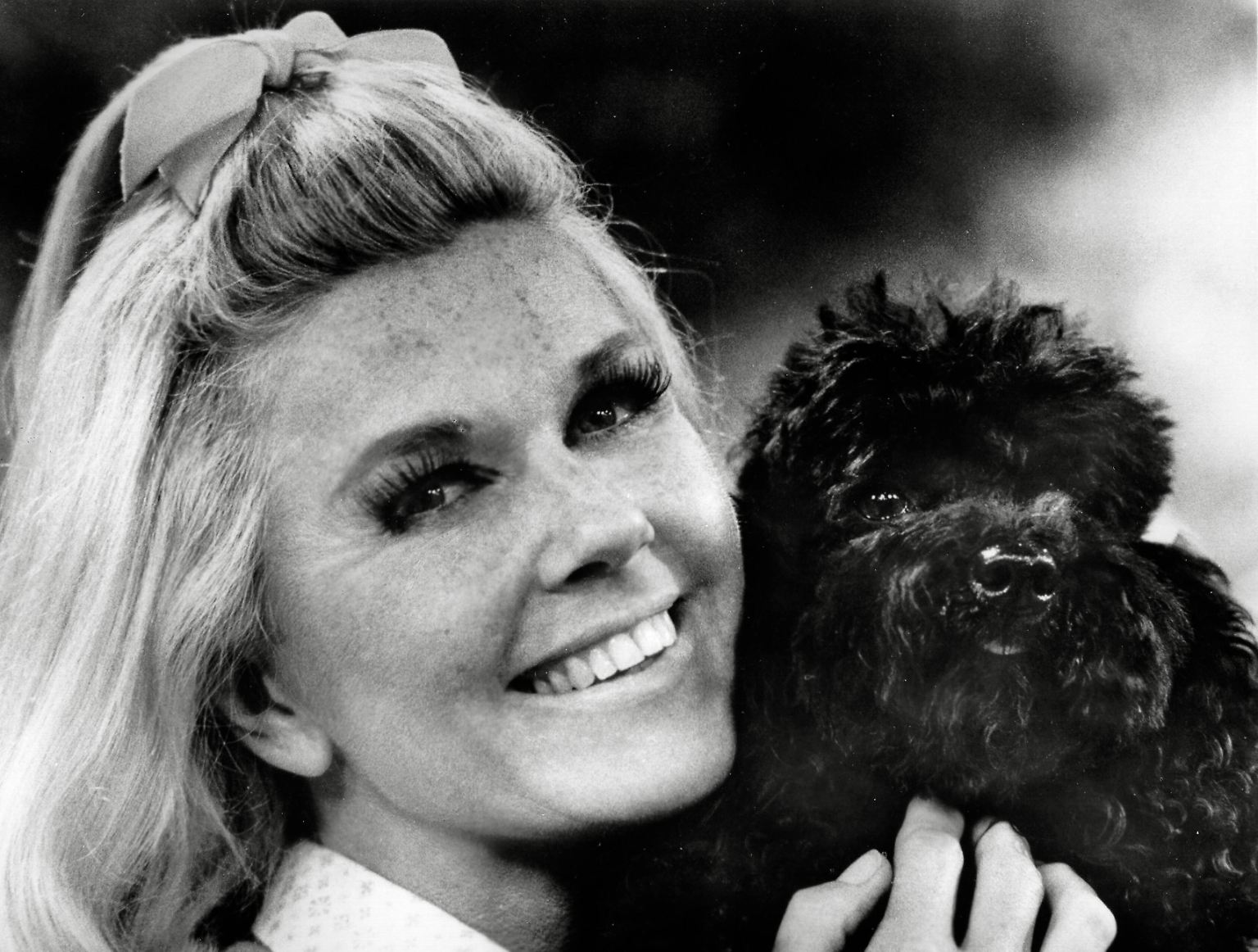 Hollywoodschauspielerin Doris Day ist im Alter von 97 Jahren gestorben. 