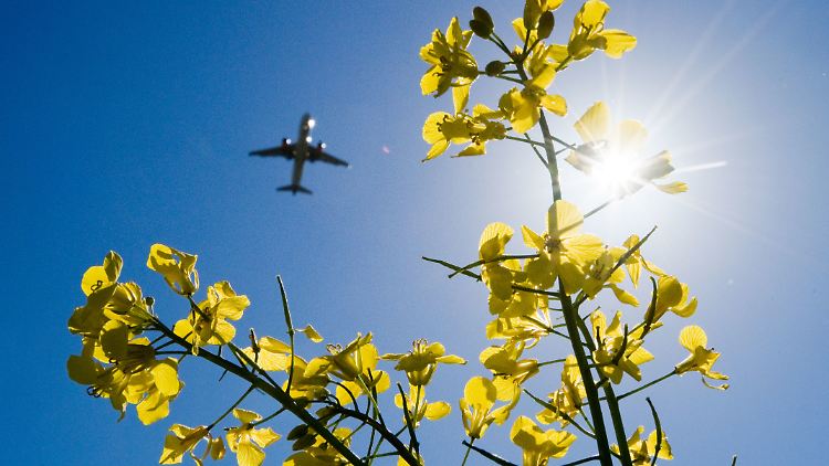 Im Visier der EU: Airlines bezahlen keinerlei Steuern für ihr Kerosin. Das könnte sich ändern.