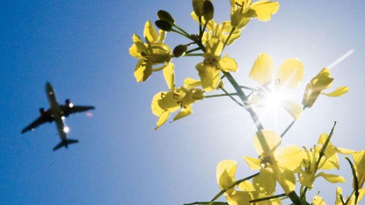 Flugverbindungen von Nürnberg nach München oder von Frankfurt nach Düsseldorf: Braucht man das?